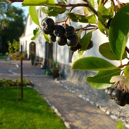 Aronia Park Lubiechowa Exterior foto