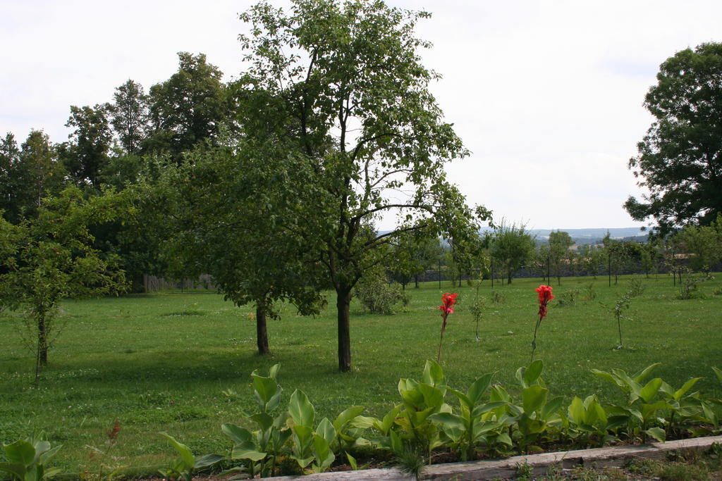 Aronia Park Lubiechowa Exterior foto
