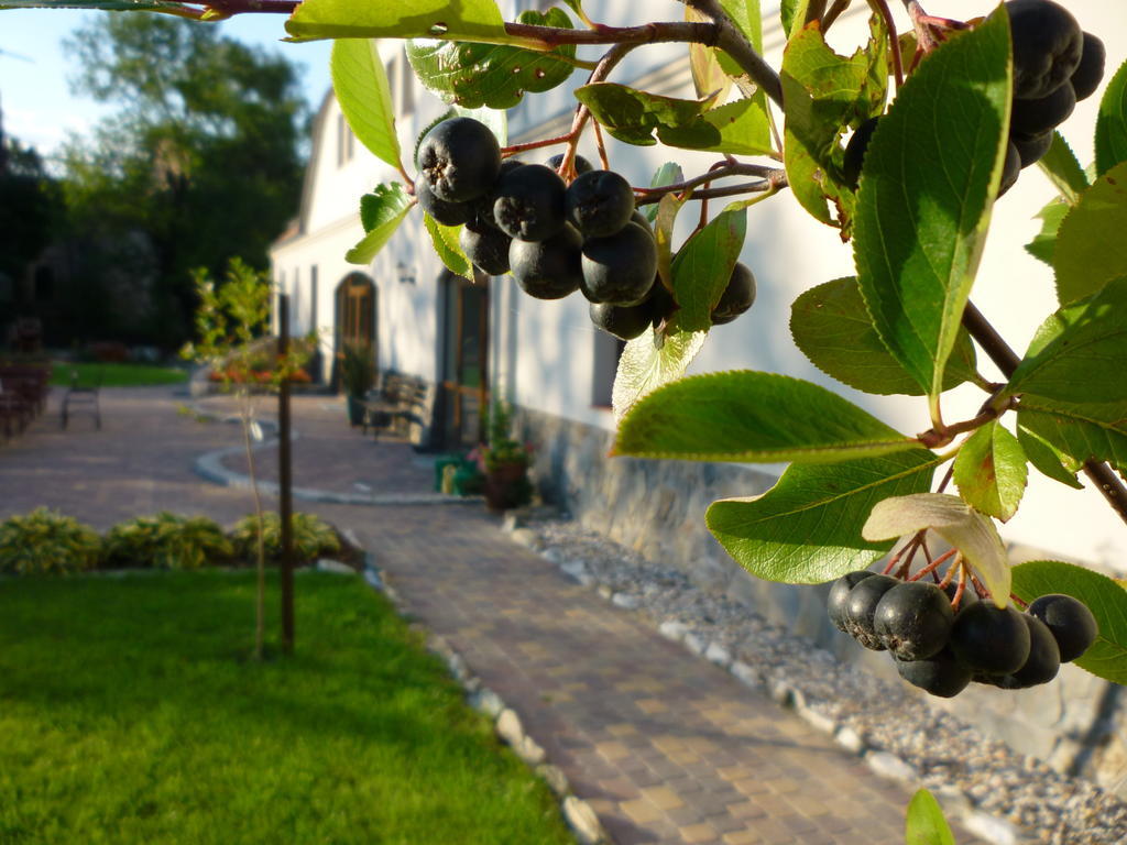 Aronia Park Lubiechowa Exterior foto